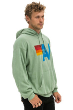 Load image into Gallery viewer, AVIATOR NATION LOGO PULLOVER RELAXED HOODIE - SAGE
